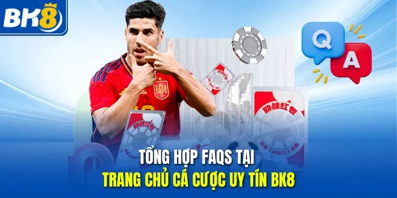 Tổng hợp FAQs tại trang chủ cá cược uy tín BK8